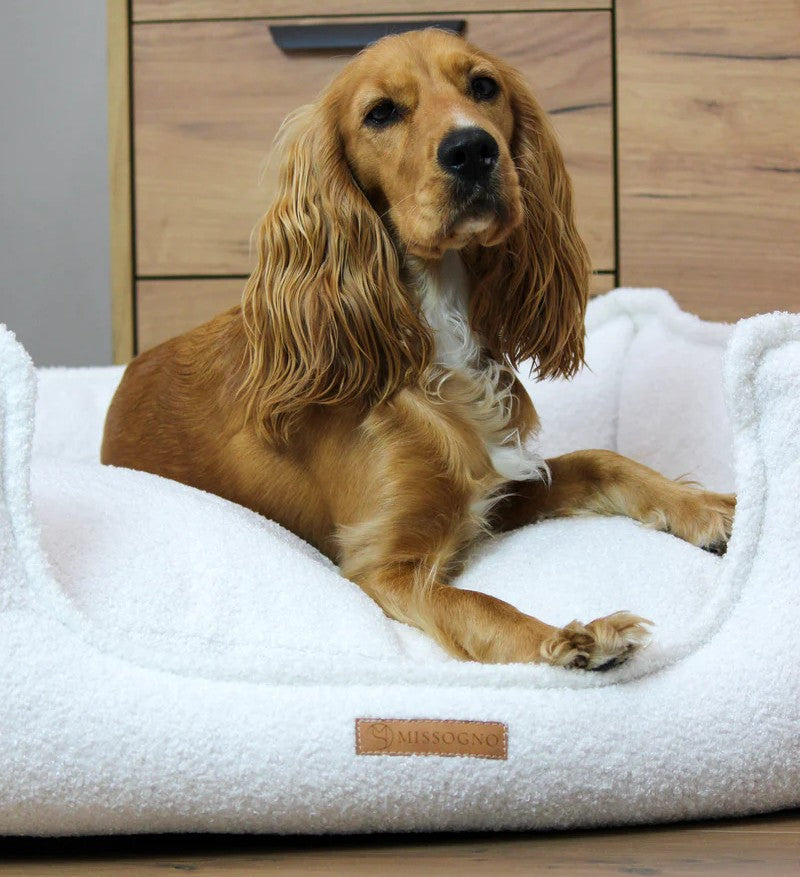 MISSOGNO Celestial Hypoallergenic Orthopaedic Dog Bed