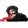 laboni little ocean dog toy set