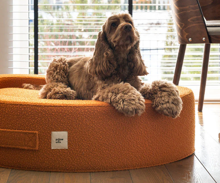 Premium Dog Beds: A Guide to Quality Materials