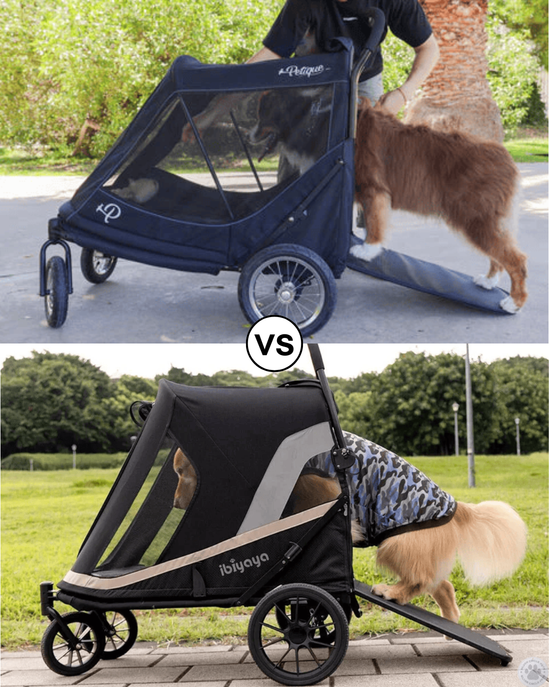 Ramp-Equipped Dog Buggies: Petique Apollo vs. Ibiyaya Grand Cruiser