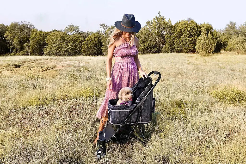 How To Choose a Dog Stroller?