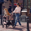 Why Choose a FikaGO Pet Stroller?