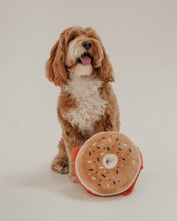 By Teddy Bagel Dog Toy