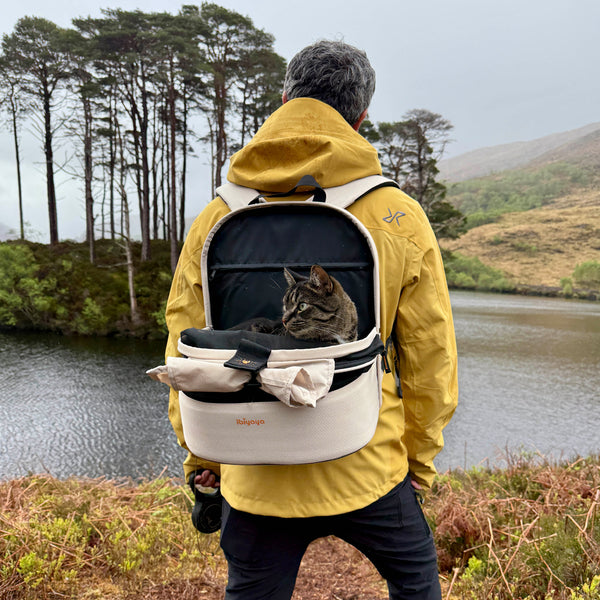 Ibiyaya Panorama Pet Carrier | Airline-Approved