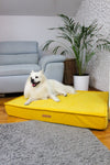 MISSOGNO Charm Orthopaedic Rectangle Dog Bed