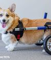 Walkin’ Wheels CORGI Wheelchair