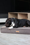 MISSOGNO Charm Orthopaedic Rectangle Dog Bed