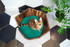 MISSOGNO Lotus American Walnut Orthopaedic Pet Bed
