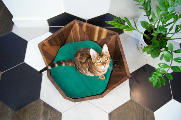 MISSOGNO Lotus American Walnut Orthopaedic Pet Bed