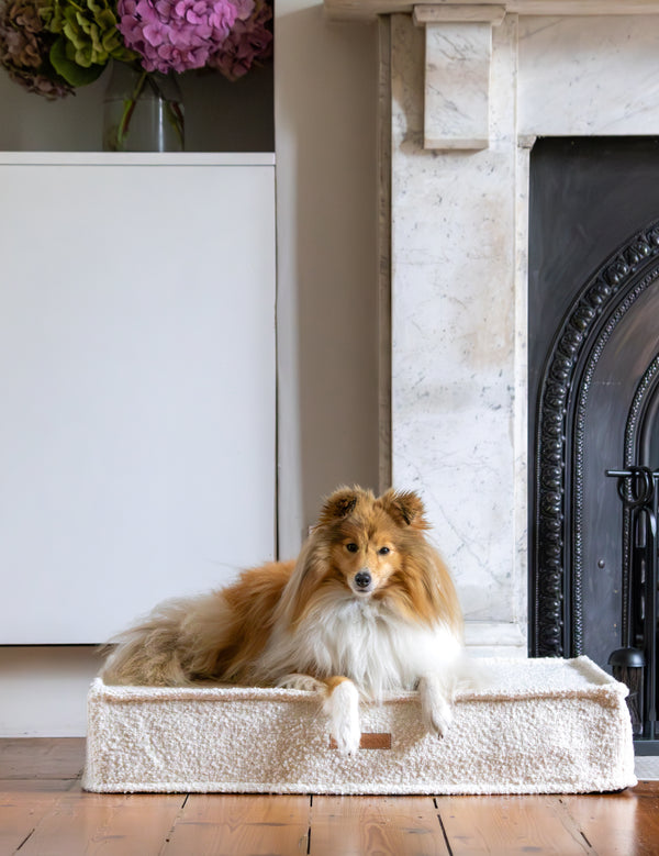 MISSOGNO Prestige Orthopaedic Boucle Rectangle Dog Bed