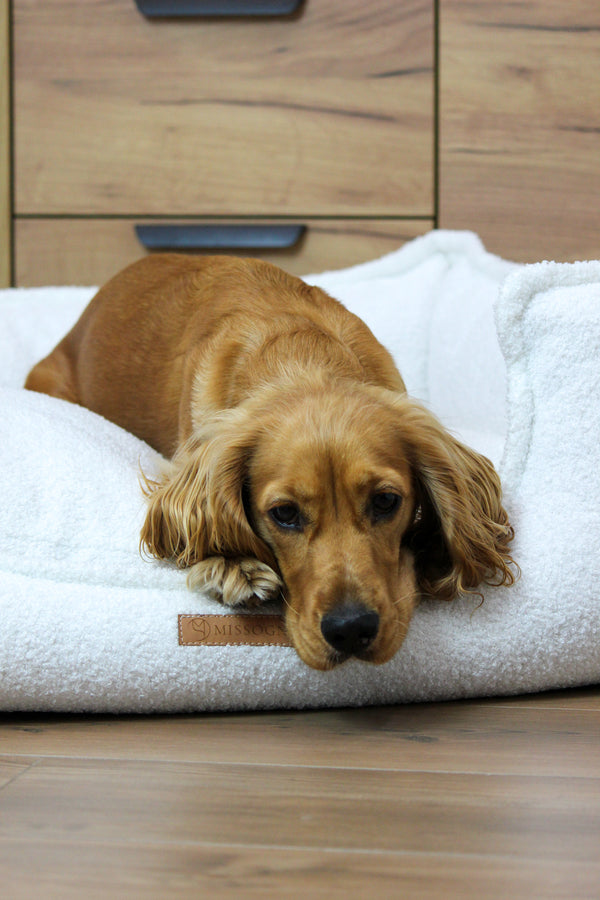 MISSOGNO Celestial Hypoallergenic Orthopaedic Dog Bed