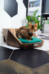 MISSOGNO Lotus American Walnut Orthopaedic Pet Bed