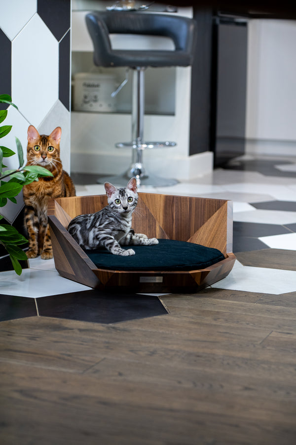MISSOGNO Lotus American Walnut Orthopaedic Pet Bed