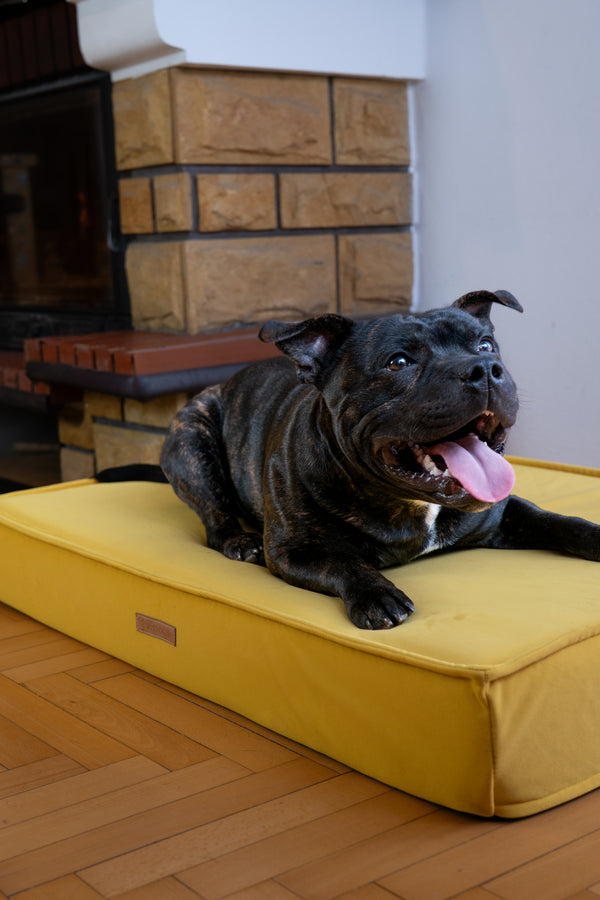 MISSOGNO Charm Orthopaedic Rectangle Dog Bed