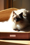 MISSOGNO Hoya Oak Orthopaedic Pet Bed