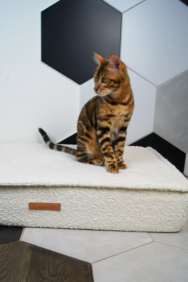 MISSOGNO Prestige Orthopaedic Boucle Rectangle Dog Bed