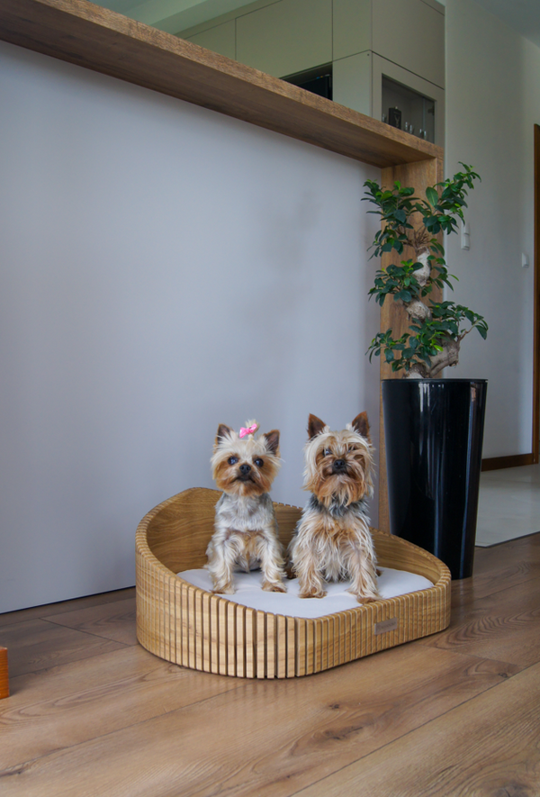 MISSOGNO Hoya Oak Orthopaedic Pet Bed