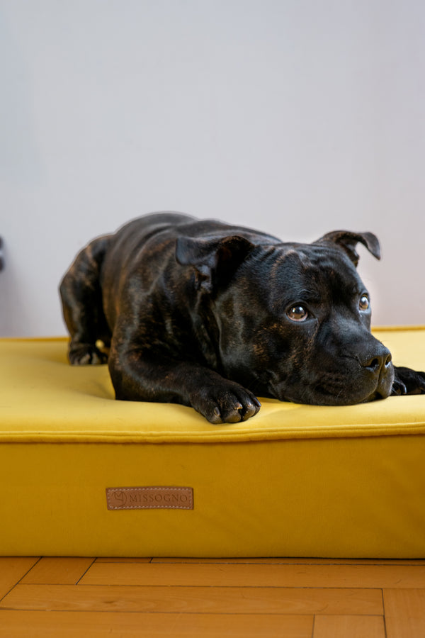 MISSOGNO Charm Orthopaedic Rectangle Dog Bed