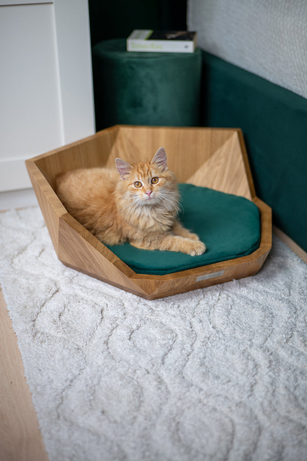 MISSOGNO Lotus Oak Orthopaedic Pet Bed
