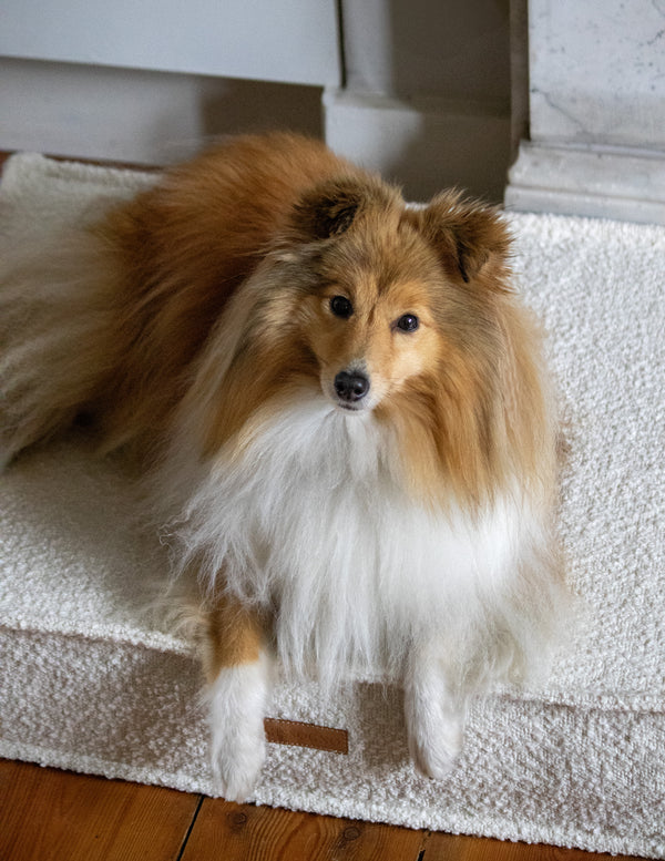 MISSOGNO Prestige Orthopaedic Boucle Rectangle Dog Bed