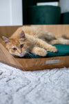 MISSOGNO Lotus Oak Orthopaedic Pet Bed
