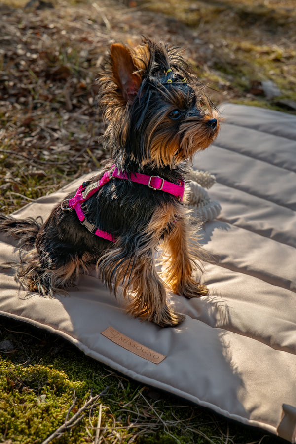 MISSOGNO Luxury Waterproof Travel Mat