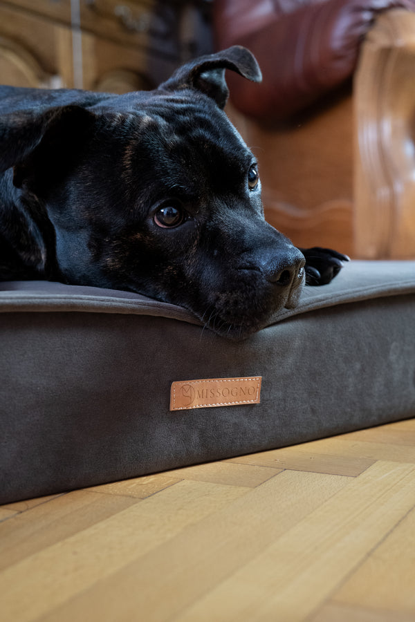 MISSOGNO Charm Orthopaedic Rectangle Dog Bed