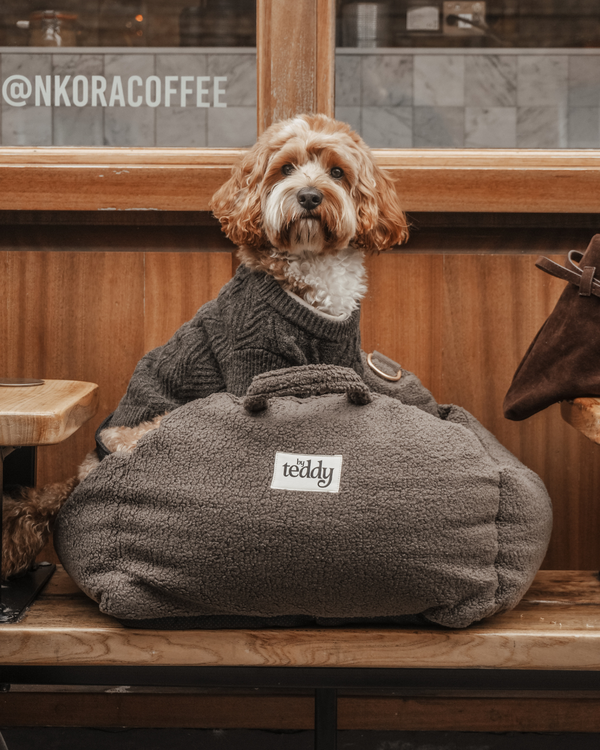 By Teddy The Cosy Dog Car Seat