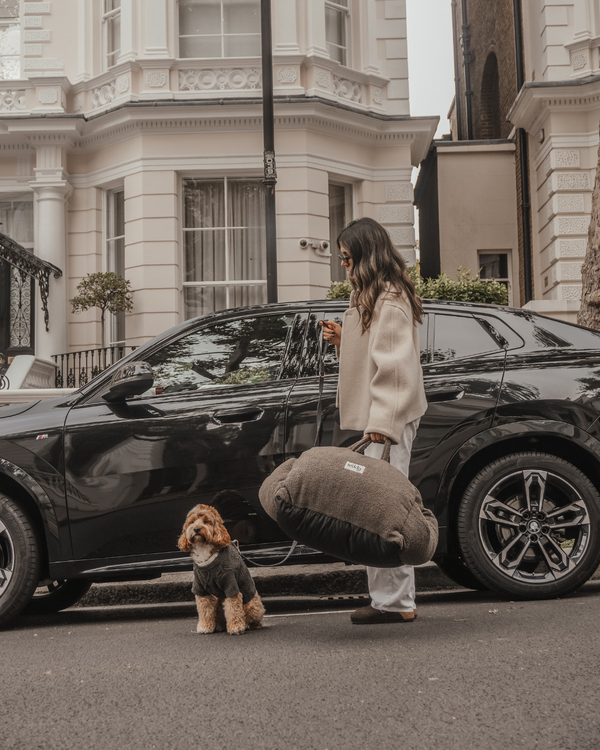 By Teddy The Cosy Dog Car Seat