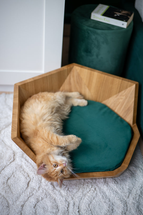 MISSOGNO Lotus Oak Orthopaedic Pet Bed