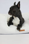 MISSOGNO Celestial Hypoallergenic Orthopaedic Dog Bed