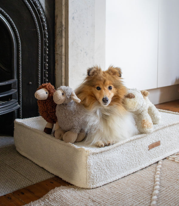 MISSOGNO Prestige Orthopaedic Boucle Rectangle Dog Bed