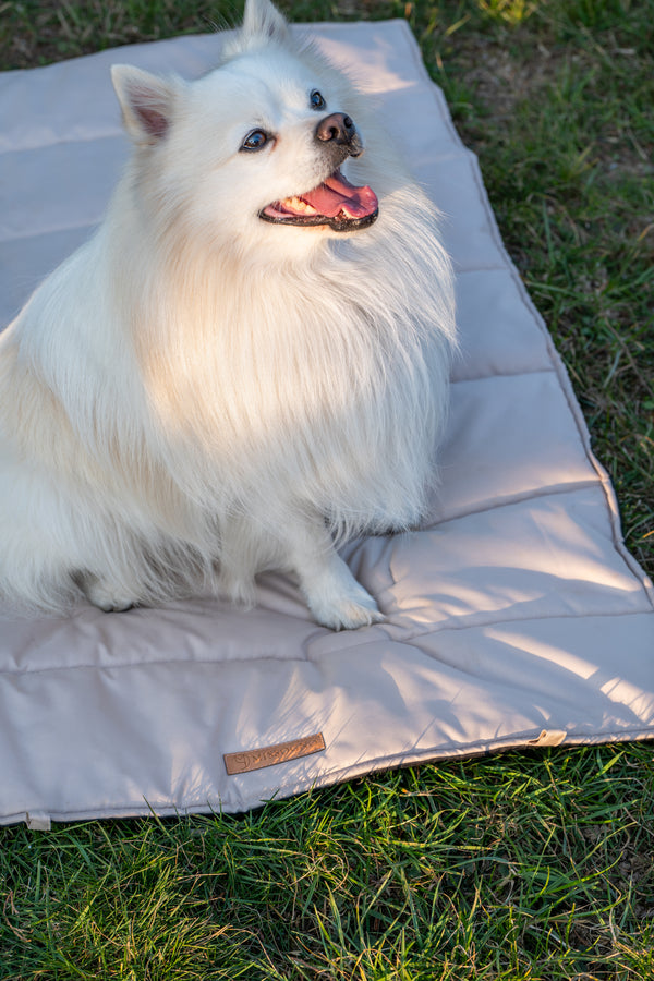 MISSOGNO Luxury Waterproof Travel Mat