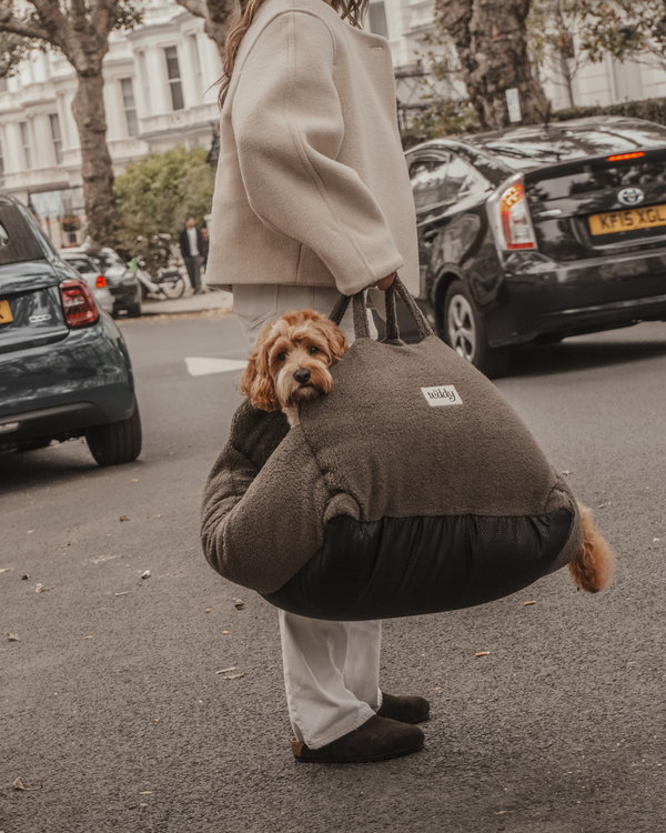 By Teddy The Cosy Dog Car Seat