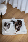 MISSOGNO Prestige Orthopaedic Boucle Rectangle Dog Bed