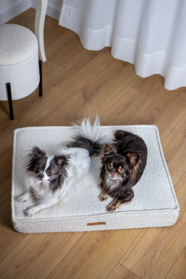 MISSOGNO Prestige Orthopaedic Boucle Rectangle Dog Bed