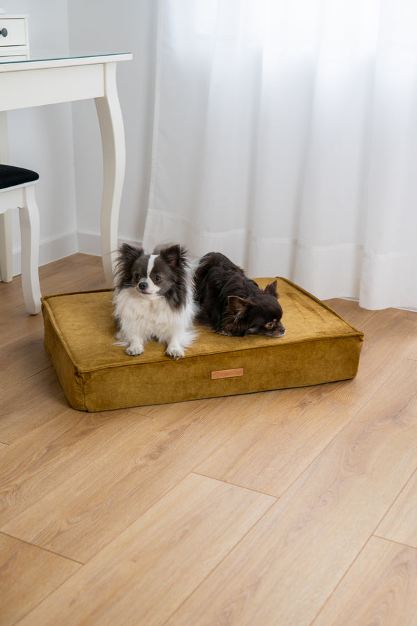 MISSOGNO Glamour Orthopaedic Rectangle Dog Bed