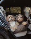 By Teddy Extra Large Cosy Dog Car Seat