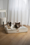 MISSOGNO Prestige Orthopaedic Boucle Rectangle Dog Bed
