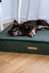 MISSOGNO Glamour Orthopaedic Rectangle Dog Bed