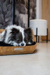 MISSOGNO Lotus Oak Orthopaedic Pet Bed