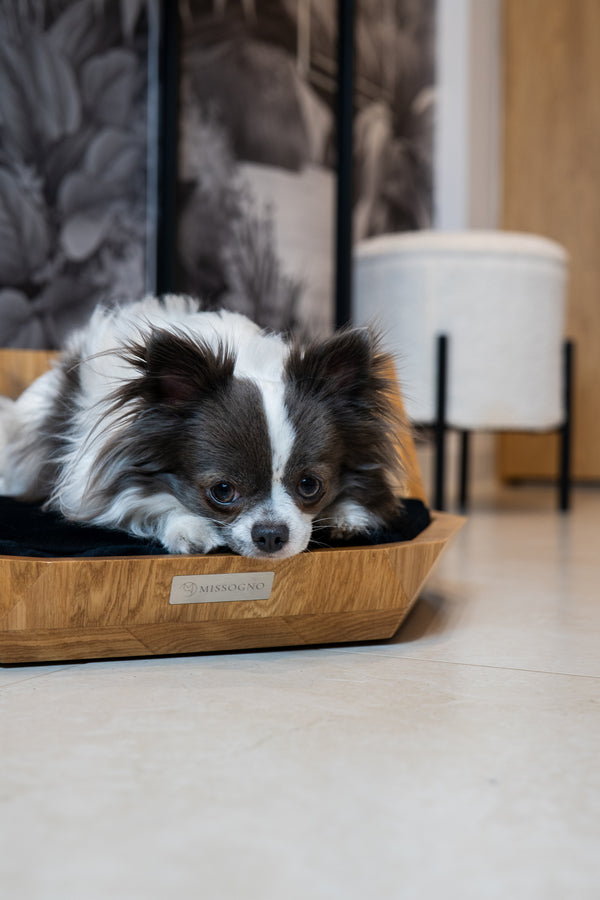 MISSOGNO Lotus Oak Orthopaedic Pet Bed