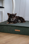 MISSOGNO Glamour Orthopaedic Rectangle Dog Bed