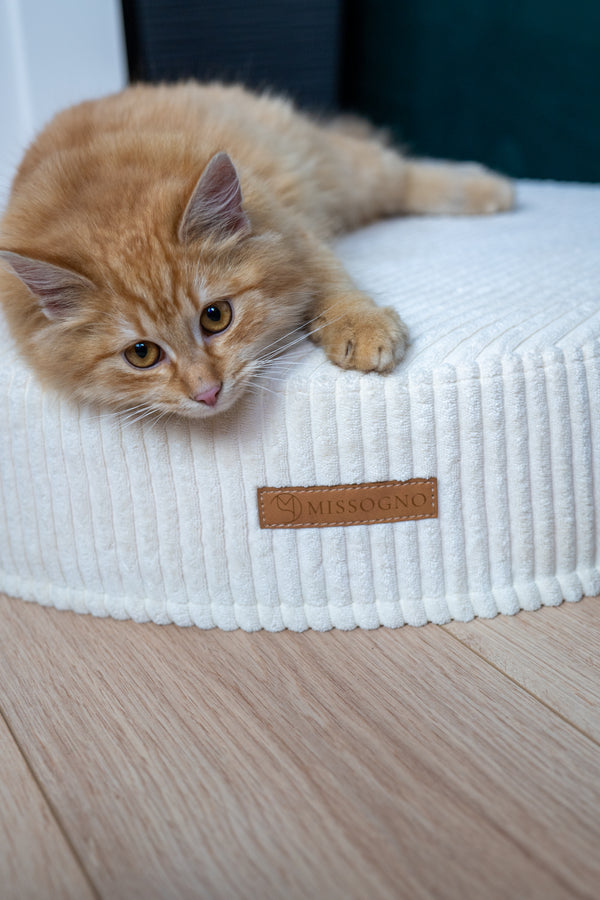 MISSOGNO Dreamy Corduroy Round Pet Bed