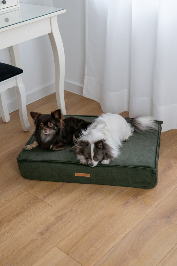 MISSOGNO Glamour Orthopaedic Rectangle Dog Bed