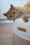MISSOGNO Dreamy Corduroy Round Pet Bed