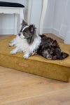 MISSOGNO Glamour Orthopaedic Rectangle Dog Bed