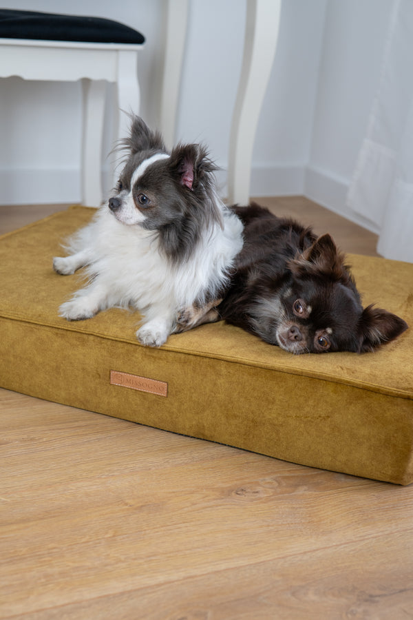 MISSOGNO Glamour Orthopaedic Rectangle Dog Bed