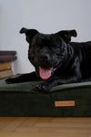 MISSOGNO Glamour Orthopaedic Rectangle Dog Bed
