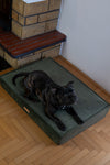 MISSOGNO Glamour Orthopaedic Rectangle Dog Bed